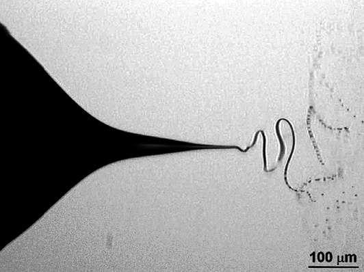 2.2.1.2. Nanospider technológia A méréseken használt kompozit mintákban lévő nanoszálak Nanospider technológiával kerültek közvetlen a szénszövet, illetve az egyirányban erősített kelme felületére.