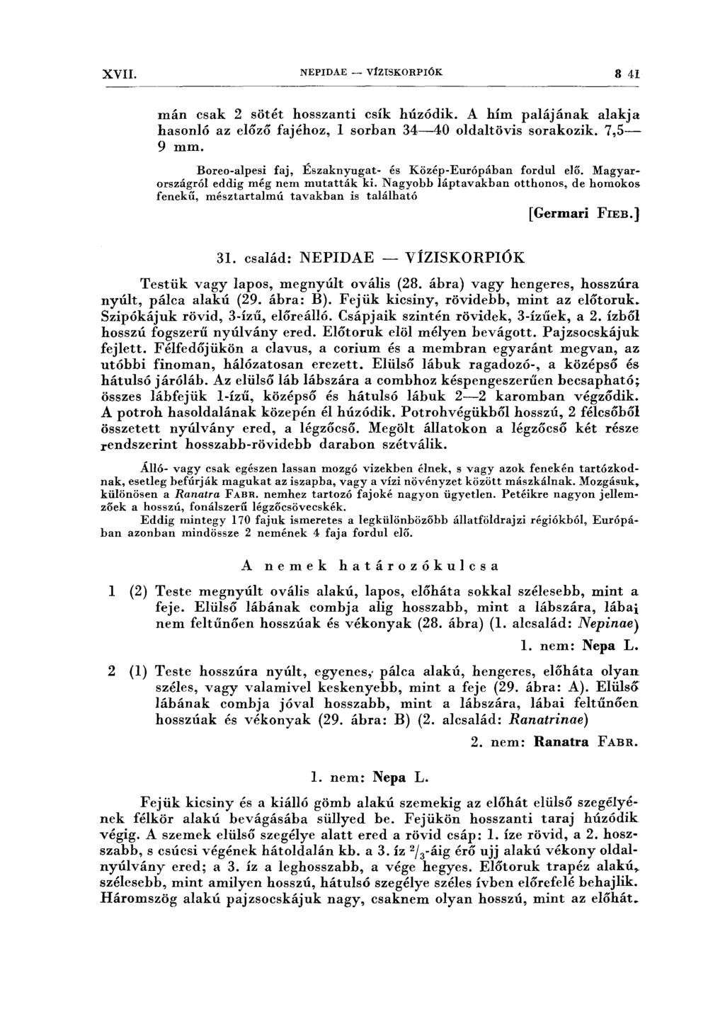 XVII. NEPIDAE - VÍZISKORPIÓK 8 41 mán csak 2 sötét hosszanti csík húzódik. A hím palájának alakja hasonló az előző fajéhoz, l sorhan 34-40 oldaltövis sorakozik. 7,5-9 mm.