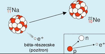 b-bomlás» b-sugárzás Pozitív b-bomlás + 0 + p n + e + ν e A Z X A Z 1 X + e + + e 22 11 22 + Na