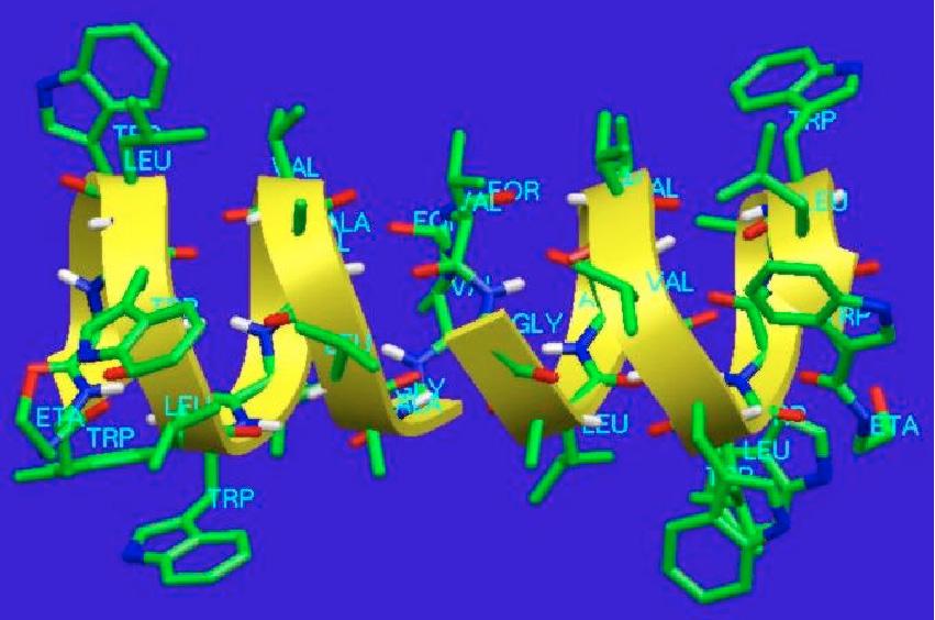 NEUTRONS ET BIOLOGIE 183 Figure 1. Structure de la gramicidine représentée avec le programme MPV3D [7]: A gauche, vue transverale, à droite, vue dans l axe du pore.