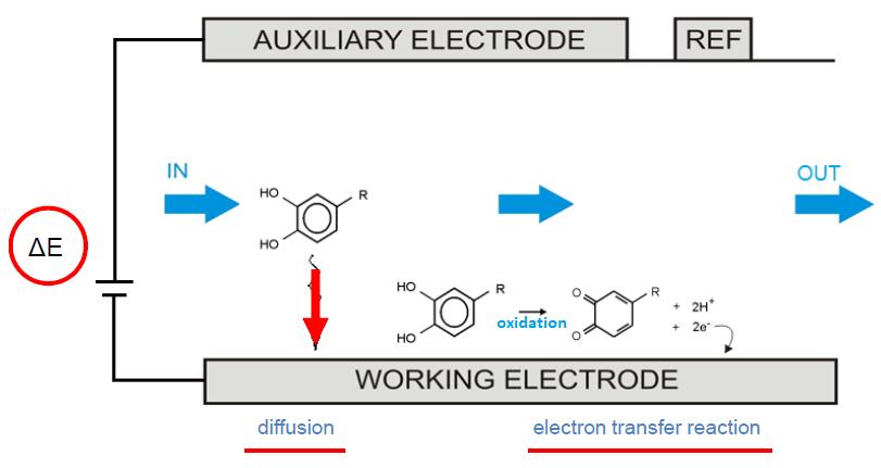 HPLC-ECD működése Elektrokémiai reakció