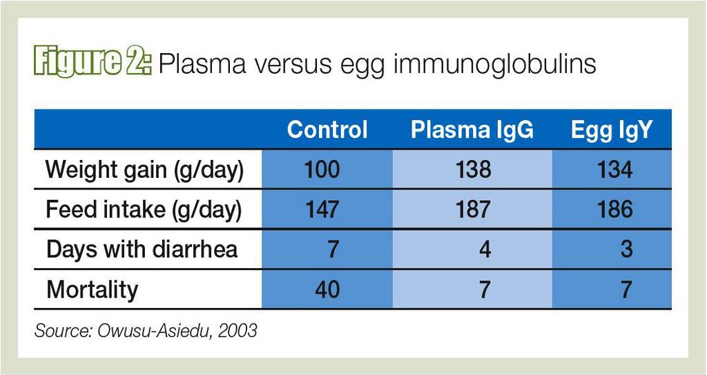 A szárított vérplazma helyettesítése a malactakarmányokban - Másik immonglobulin forrás (immunizált tojás por) - Jól emészthető fehérje/aminosav kiegészítés (savófehérje, halliszt, szójafehérje