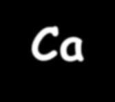 Ca 2+ forgalom szabályozása calcitonin kibocsájtás pajzsmirigy C-sejtek a calcitonin stimulálja a csontok Ca 2+ -tartalmának emelkedését Ca 2+ szerepe: vér Ca 2+