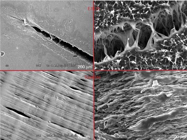 A: 40 mm, B: 7,5 mm, D: 10 mm, E: 15 mm, C: 3 mm, vastagság: 2 mm 5. ábra.