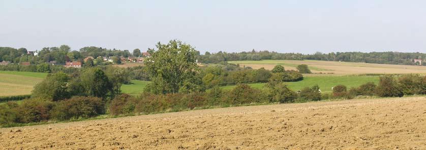 avant plan plan intermédiaire mise en scène du plateau agricole grâce à la végétation arrière plan Haies Le devenir des PAYSAGES Le Plan de Secteur, document légal définissant l affectation du sol en