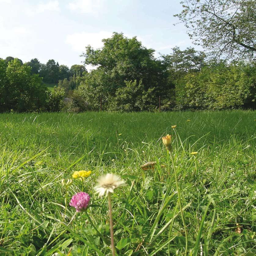 zone forestière centre ancien zone agricole zone d aménagement communal concerté Des outils pour le PAYSAGE AU NIVEAU EUROPÉEN Les actions Paysages proposées par le GAL s inscrivent dans la