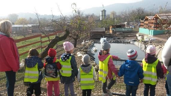 Vélemény a Zoo oviról Véleményünk szerint a Zoo-ovi egy kiváló kezdeményezés, mivel nagyon fontosnak tartjuk, hogy a gyerekek már egész kicsi korban hozzászokjanak az állatok közelségéhez,