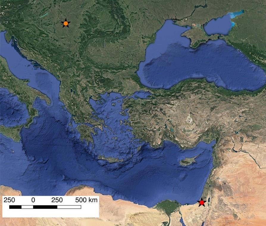 (ii) a megjelenő LCZ típusok klímarégiók szerinti különbségeinek elemzése, (iii) az 1 km-es felbontású MODIS rácshálózat városi és városkörnyéki celláinak lehatárolása, (iv) a MODIS termikus