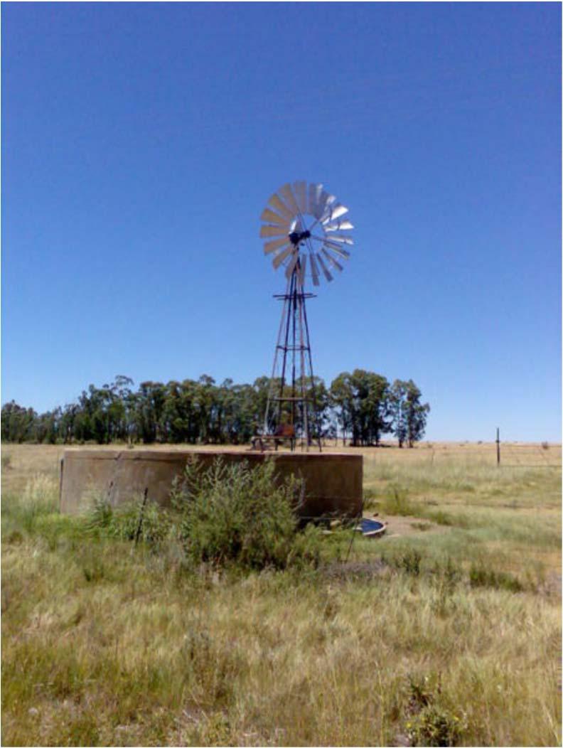 groundwater, emerging naturally in springs or