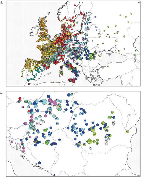 II. ábra - a) A lombhullató fehér (nemes) tölgyek cpdns haplotípusainak elterjedése Európában. Minden haplotípust eltérő színkód jelöl.