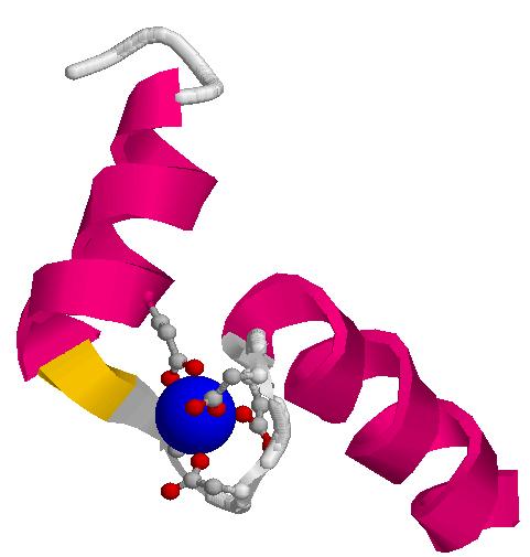 7. gyakorlat A gyakorlat kivitelezése 1. Feladat : fehérjeszerkezet ábrázolása és analízise PDB fájlból Keresse meg a PDB adatbázisban (http://rcsb.org) az 1CLL azonosítójú fehérjét!