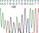 Betegünkben DNA extracted from FFPE tissues (tumor