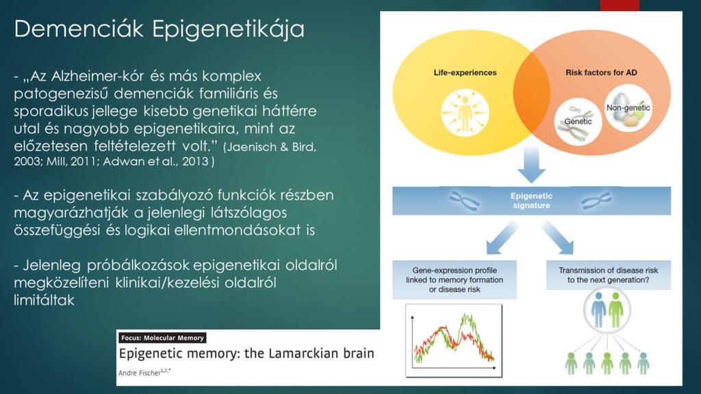 A környezeti hatások az epigenetikai színtéren keresztül nem csak kialakíthatnak, de akár örökölhetővé is tehetnek változásokat a genomi