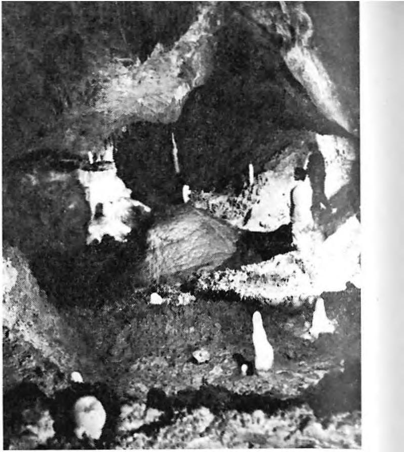 (1959 60): M ikroklim atológiai megfigyelések az. A ggteleki-cseppkőbarlangban. ACTA Kossuth L. Tud. Egy., Debrecen, VII2. FEKETE I. Dr. M ENYH ÁRT J. (1965) : A légtechnika elméleti alapjai.
