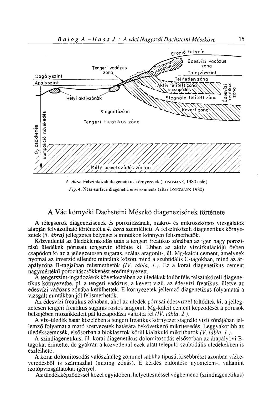 Balog A.-H a a s J. : A váci Nagy szál Dachsteini Mészköve 15 4.