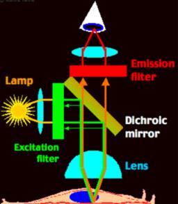 Plarizációs filterek (Plarizátr) A beeső fény