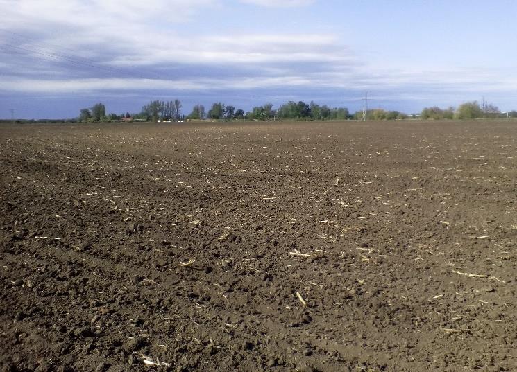 Szeretnék, pár érdekesebb dolgot felsorolni ezek közöl: 3 karóra, 5 darab gyűrű.