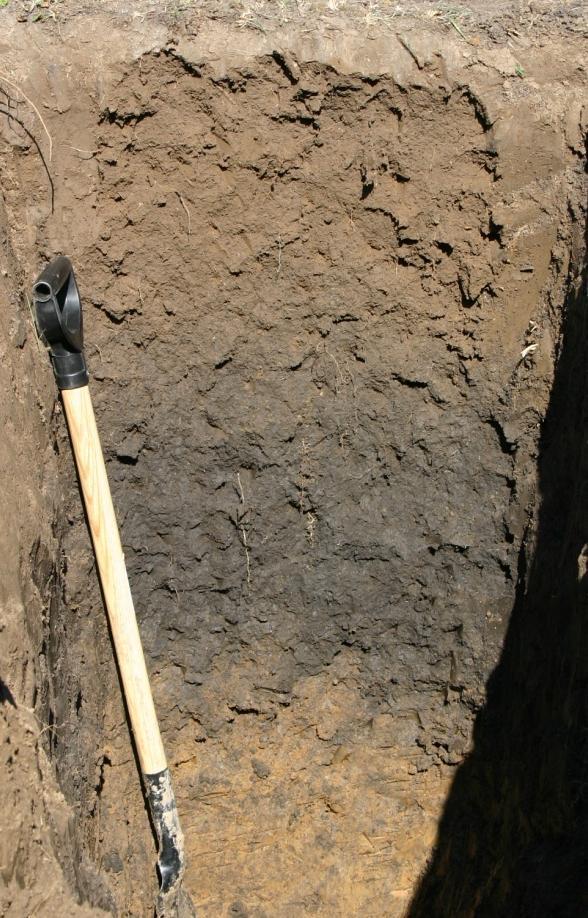 Eredmények Tulajdonság eltemetett talajszint mélysége Határérték sekélyen kétrétegű: 50 cm felett közepesen kétrétegű: 50-100 cm mélyen kétrétegű: 100-200 cm Thapto-* Thapto-* határérték < 100 cm <