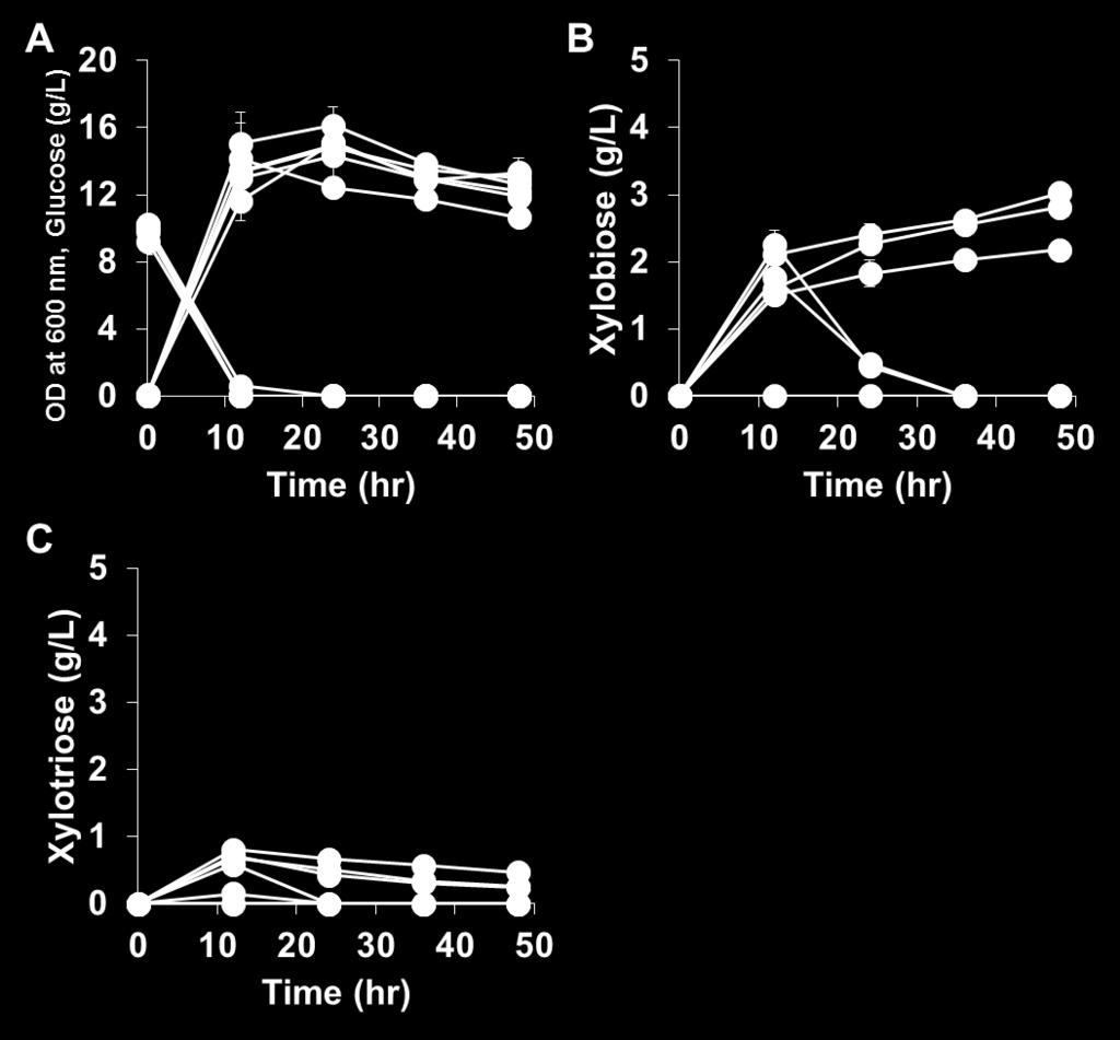 g/l of xylan. B) Xylobiose concentration profiles, C) Xylotriose concentration profiles. Black, C.