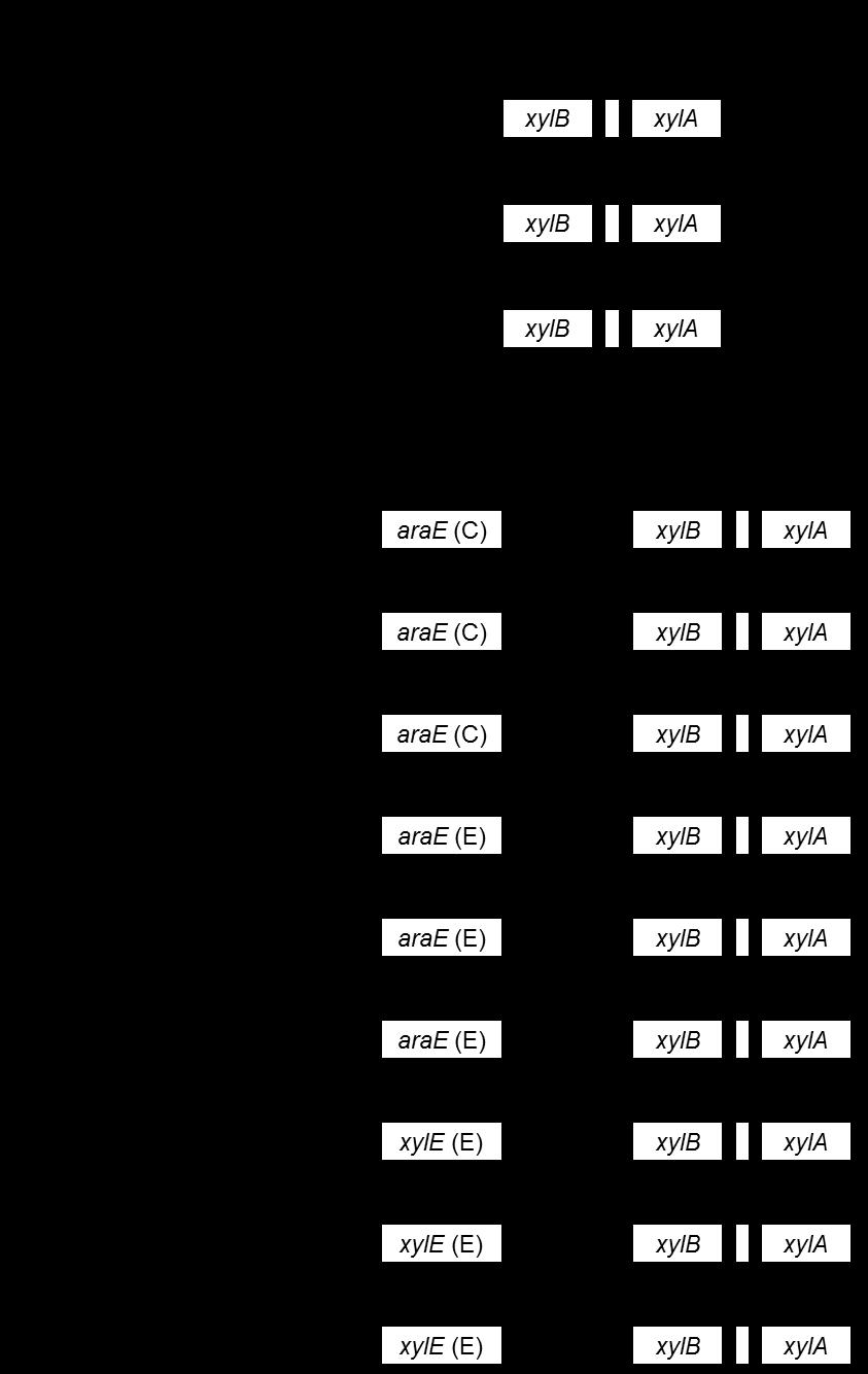 Figure S1.