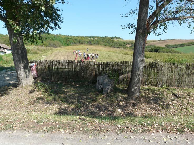 található része szinte teljes egészében erdővel borított, de a lankákon mezőgazdasági