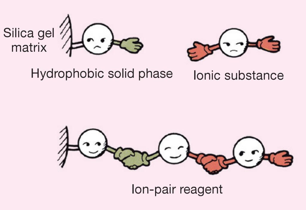 Fordított fázisú ionpár kromatográfia RP-IP-HPLC Ionos vagy könnyen ionizálható vegyületek visszatartása RP-HPLC-ben kicsi.