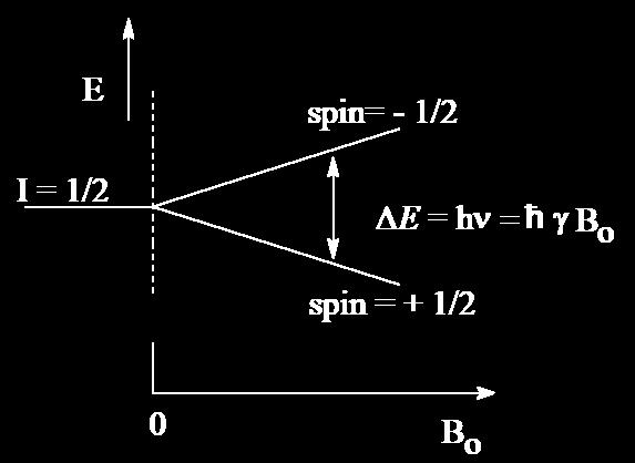 NMR, Zeeman felhasadás NMR-aktív magok: parányi mágnesek, külső mágneses tér nélkül tetszőleges irányban állnak, az atomi energiaszintek megegyeznek (degeneráltak).