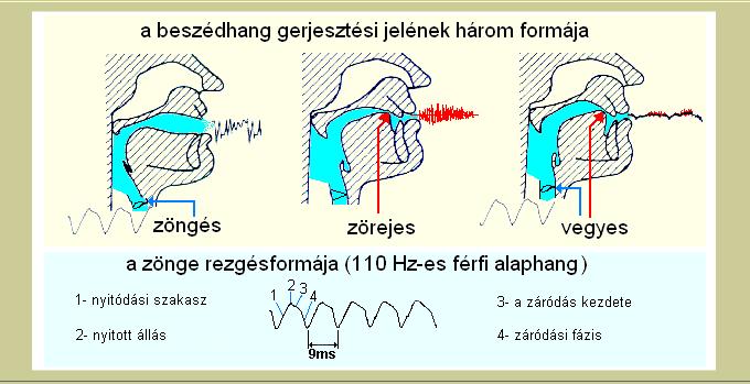 Képzésmód