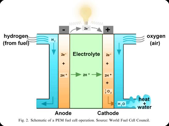 Fuel cells Parts: Polymer electrolyte membrane Catalyst layers Gas