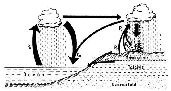 A víz tulajdonságai Kémiai tulajdonságok Raoult-törvény: híg oldatok esetén a moláris koncentráció növekedésével a fagyáspont csökken, forráspont nő (35 sótart.: -1,91ºC olv.