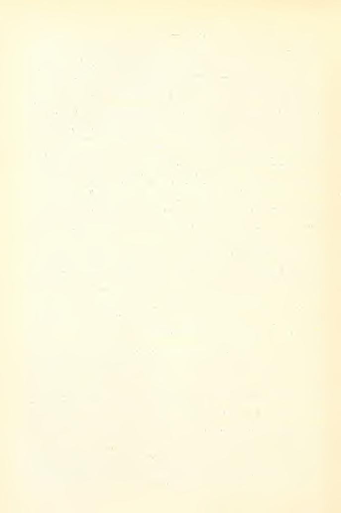 Osteologie 316 Irodalom. Literatur. BiiABius, W. : Die Vogelfauiia in den diluvialen Ablagerungen dor Rübeliindcr Höhlen..louriial für Ornithologie, XLIX. Jahrg. 1901. Heft. 1, pag. 57 (io. Dr.