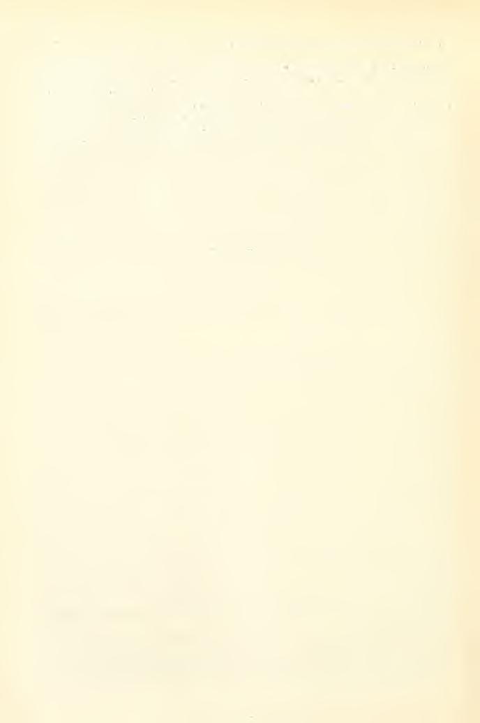 318 Wallace, A. E. : Die geographische Verbreitung der Thiere cto. Autorisierte deutsche Ausgabe von A. B. Meyer, Dresden, 1876. I. u. II. Bd. Dr. WoLDÊiCH,.1. N.