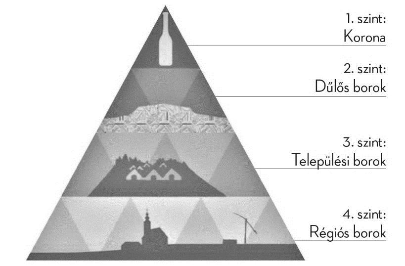 Pozícionálás Dűlős borok Hegybor, falubor,