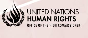 Üzleti szféra és emberi jogokról szóló irányelv Guiding Principles on Business and Human Rights ENSZ Emberi Jogi Tanács 17/4 határozat (2014.06.