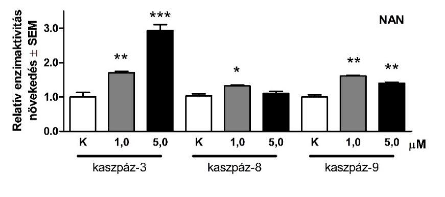 4.2.4 Morfológiai változások és apoptózis indukció A 24 órás NAN kezelés minden koncentrációja mellett szignifikáns mértékben emelkedett az apoptotikus sejtek számaránya az intakt sejtek rovására (8.