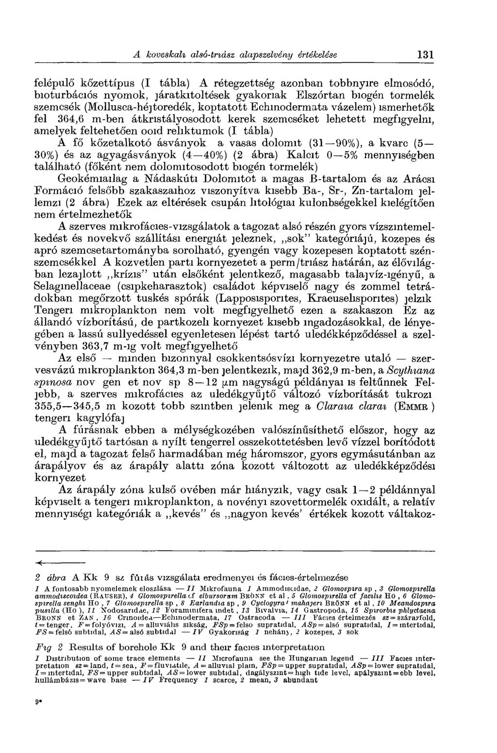 felépülő kőzettípus (I tábla) A rétegzettség azonban többnyire elmosódó, bioturbációs nyomok, járatkitoltések gyakoriak Elszórtan biogén törmelék szemcsék (Mollusca-hé]toredék, koptatott