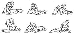 A légzést a hanyatt fekvő emberen lehet megvizsgálni oldalról nézve a sérült mellkasának mozgását figyelve (5. ábra). A szívműködés ellenőrzése a nyaki verőér tapintásával történik (6. ábra). 5.