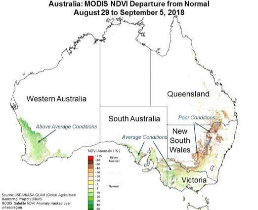 MEZŐGAZDASÁGI TERMELÉS A VILÁGON Búza Ausztráliában: előrejelzett termelést csökkentették USDA a 2018/19 évre Ausztrália búza termelését 20,0 millió metrikus tonnára (mmt) becsülte, ami 2,0 mmt vagy