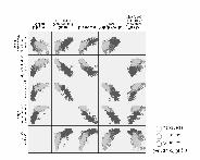 - plot (lleszkedésábra) Várt valószíűség,0,8,5,3 0,0 épkocs súly 0,0,3,5,8,0 zámolt gögyölt gyakorság zóródás-ábra (scatter)