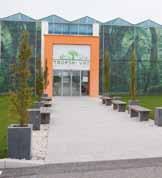 Dobronak Murska / Dobrovnk Sobota» Dobronak határában épült fel Közép-Európa legnagyobb orchdeatermesztő kertészete, amely a lepkeorchdea palánták nevelésére szánt melegágyak mellett trópus kertet