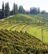 Az delátogatókat az év mnden dőszakában gazdag kínálattal várják a teraszos szőlőskertekben termelő borászok.» Als de Kreuzrtter m 13. Jhd.