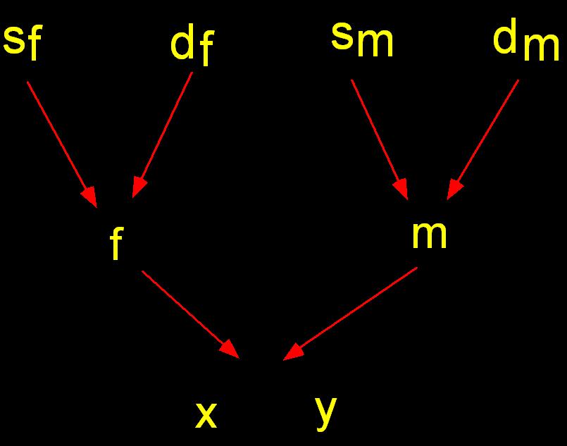 Teljes testvérek (x és y) m és f szülőktől xy = (2 + f m + f f +