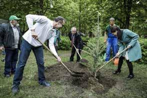 A további, belvárost érintő projektelemeket számba véve azt látjuk, hogy a Kossuth utca északi oldalán zajlik a szabványos parkolók kialakítása és egyes helyeken már az új díszburkolat is a helyére