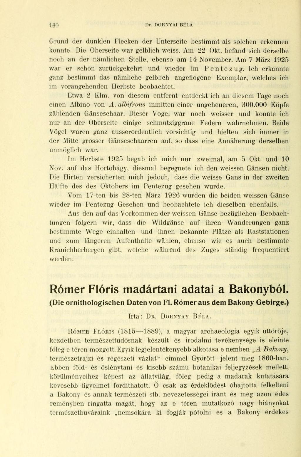 160 Dr. DORNYAI BÉLA Grund der dunklen Flecken der Unterseite bestimmt als solchen erkennen konnte. Die Oberseite war gelblich weiss. Am 22 Okt.