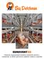 EUROVENT EU. Felszerelt, trágyaszalagos tojóketrec tojótyúkok számára megbízható, az állatok igényeinek megfelelő, hatékony megoldás