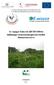 Az Apagyi Falu-rét (HUHN20041) különleges természetmegőrzési terület fenntartási terve