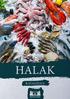 tengeri halak tengeri halak 2. 3.