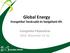 Global Energy Energetikai Tanácsadó és Szolgáltató Kft. Energetikai Pályázatírás 2010. November 15-16.