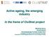 Active ageing, the emerging industry. In the frame of CluStrat project