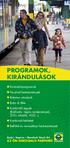 Programok, kirándulások